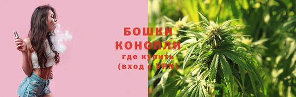 2c-b Каменногорск