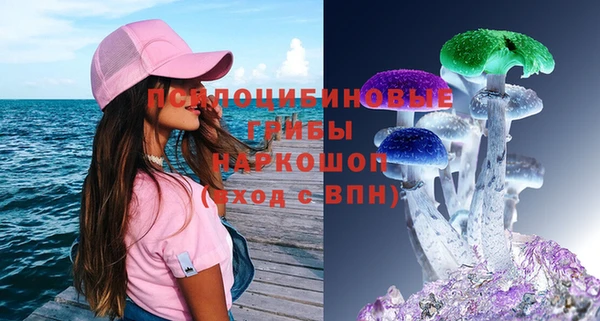 2c-b Каменногорск